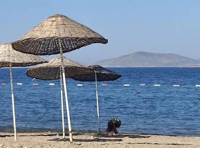 公寓 Erdalin Evii *